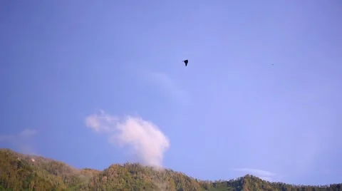 A soaring bird in the sky over the mountains Vidéo 65792129