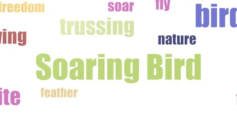 Soaring Bird Word Cloud Animated On White Background Stock Footage 107247619