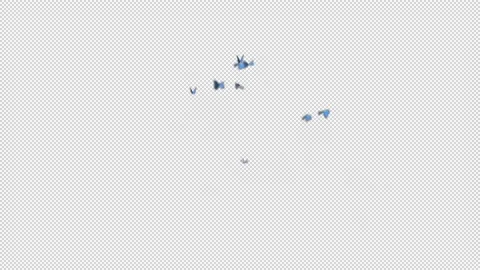 Soaring butterflies with an alpha channel Video stock 232396534