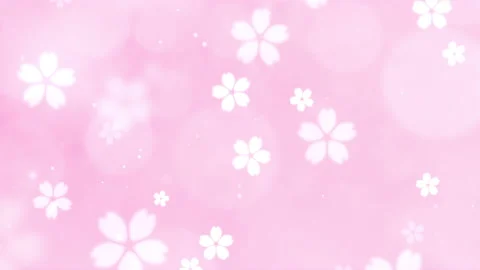 Soaring cherry blossoms. Pink glitter ba... | Stock Video | Pond5