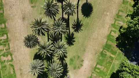 Soaring Drone Flight Over the Dense Urban Grid of Central Melbourne Vídeos de archivo 314563977
