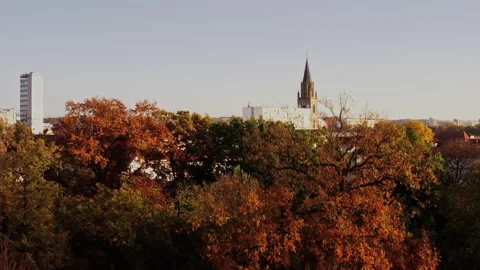 Soaring drone flight from the street, over treetops to a panoramic view over 스톡 동영상 239108601