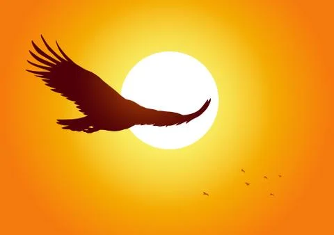 Soaring Eagle Stock Illustration