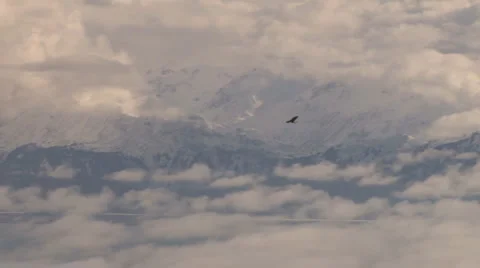 Soaring Eagle Overlook #8 of 8 Stock Footage 2206033