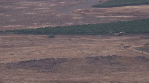 Soaring Eagle Overlook mountains Stock Footage 77511341
