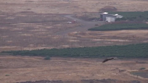 Soaring Eagle Overlook mountains Stock Footage 77649102