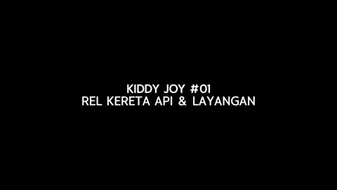 Soaring High with Kids: The Joy of Kite Flying in the Park Stock Footage 270804376