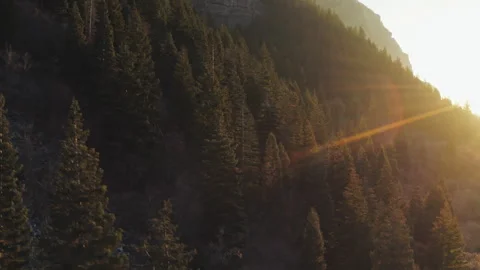 Soaring up mountainside forest in Provo Canyon with gorgeous sunset behind Video stock 242825154