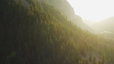 Soaring over beautiful mountainside forest in Provo Canyon, turn towards trees Video stock 242825181