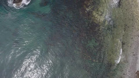 Soaring Over Clear Shallow Beach Water Stock Footage 339712120