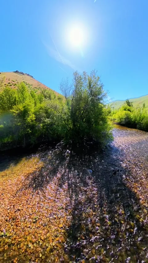 Soaring Over South Fork Boise River 4k 9x16 Stock Footage 338314184