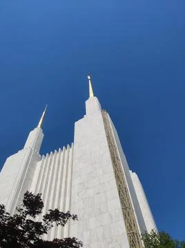 Soaring Stock Photos