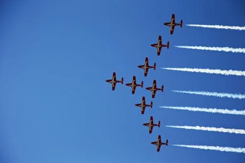 Soaring Snowbirds Stock Photos