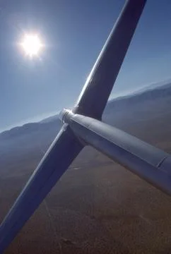 Soaring into sun Stock Photos