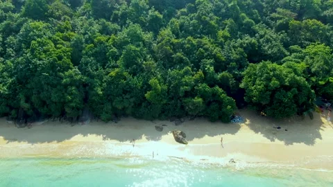 Сoast of the Indian Ocean Stock Footage 146324100