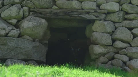 Soay sheep inside dry-stone storage chamber on Hirta, St Kilda, Scotland Stock Footage 229399385