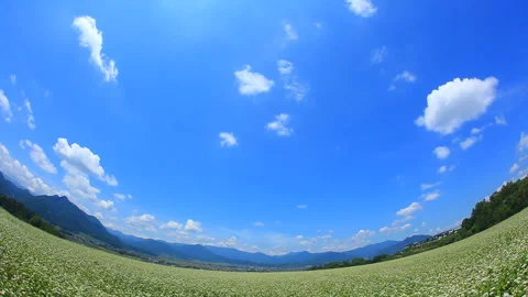 Soba Flower Fields, Mount Dokko, the Aoki Three Mountains, and Rays of Sunlight 스톡 동영상 330445513