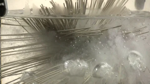 Soba spaghetti Stock Footage 102103092