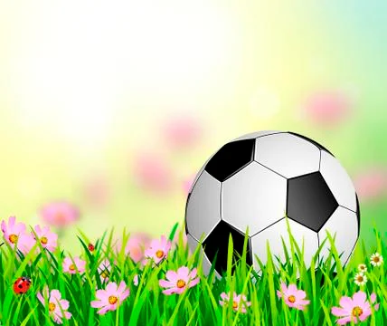 Soccer ball 2 Stock Illustration