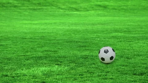 Soccer ball bouncing and stopping on grass field Stock Footage 335659691