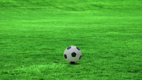 Soccer Ball Bouncing Towards Camera on Green Grass Field Loop Stock Footage 340169720