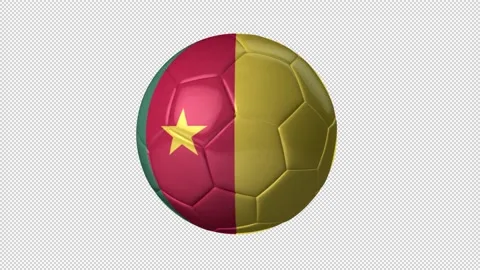 Soccer Ball Cameroon Flag Stock Footage 223929687