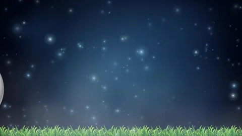 Soccer Ball with Finland Flag Pattern Bouncing on Grass at Night Stock Footage 339837213