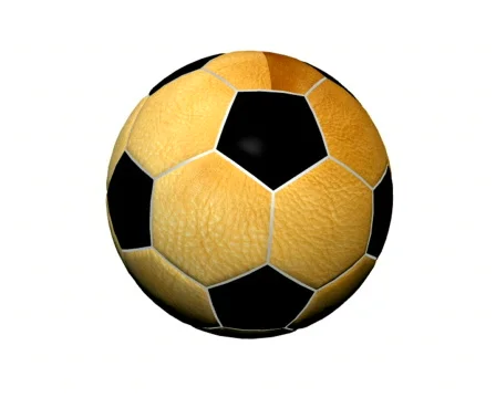 Soccer ball Stock Footage 301783