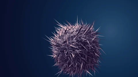 Soccer ball Stock Footage 105013941