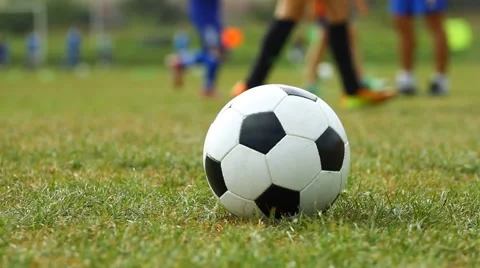 Soccer ball on the grass and training children Stock Footage 57464000
