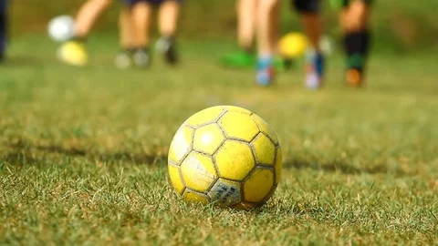 Soccer ball on the grass and training young players Stock Footage 70054471