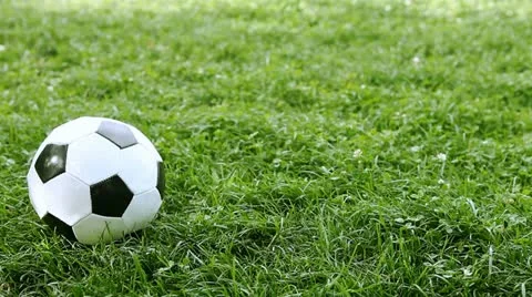 soccer ball on grass