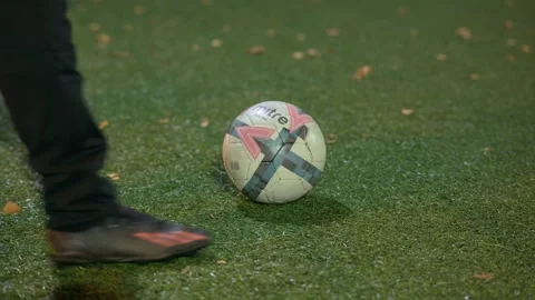 A soccer ball is on the grass Stock Footage 293010755