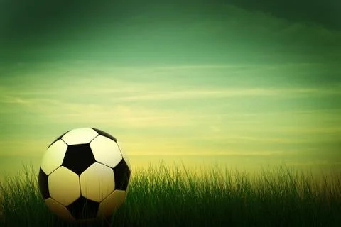 Soccer ball in grass Stock Illustration