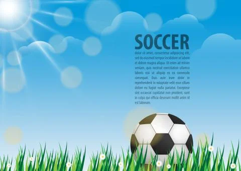 Soccer ball on grass イラスト素材