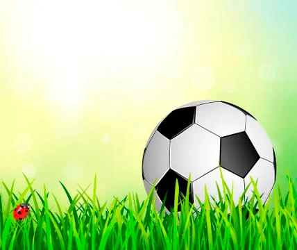 Soccer ball on the grass Stock Illustration