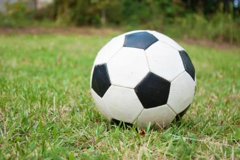Soccer ball on the grass Fotos Stock