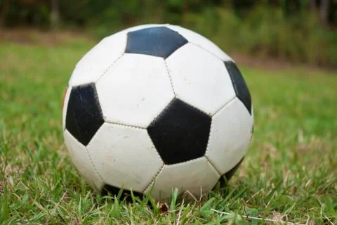Soccer ball on the grass 写真素材