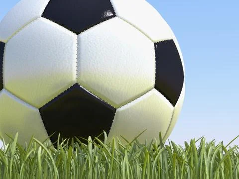 Soccer ball on grass 스톡 사진