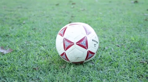 Soccer Ball on Green Grass Stock Footage 45434489