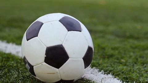 Soccer ball on the green grass Stock Footage 56240297