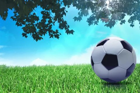 Soccer ball Stock Illustration