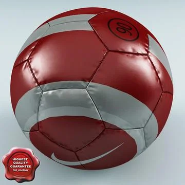 Soccer Ball Nike 3D Model