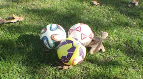 Soccer Ball in the Park Stock Footage 45434505
