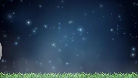 Soccer Ball with Red Circle Design Bouncing Over Grass Under Starry Night Stock Footage 341461947