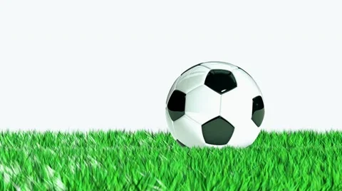 Soccer ball rolled into the frame Stock Footage 21878927