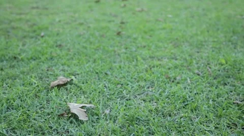 Soccer Ball Rolling 2 Stock Footage 45434457