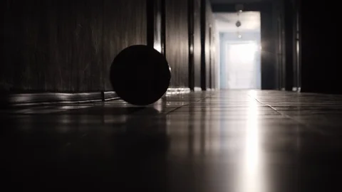 Soccer Ball Rolling on Floor Stock Footage 100798314