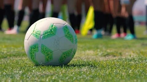 Soccer ball sitting on the grass Stock Footage 308590296