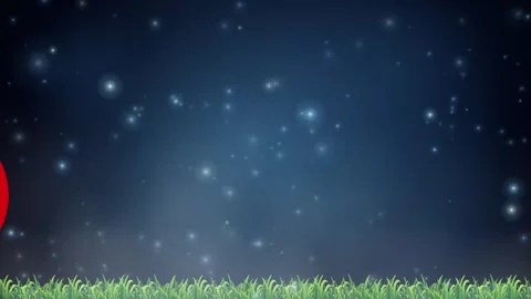 Soccer Ball with Turkish Flag Pattern Bouncing Over Night Grass Field Stock Footage 340969041